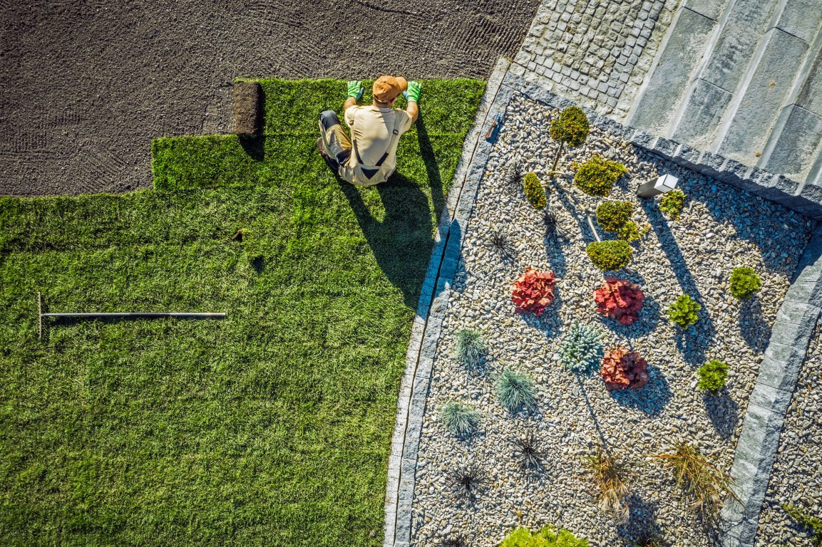backyard landscaping

