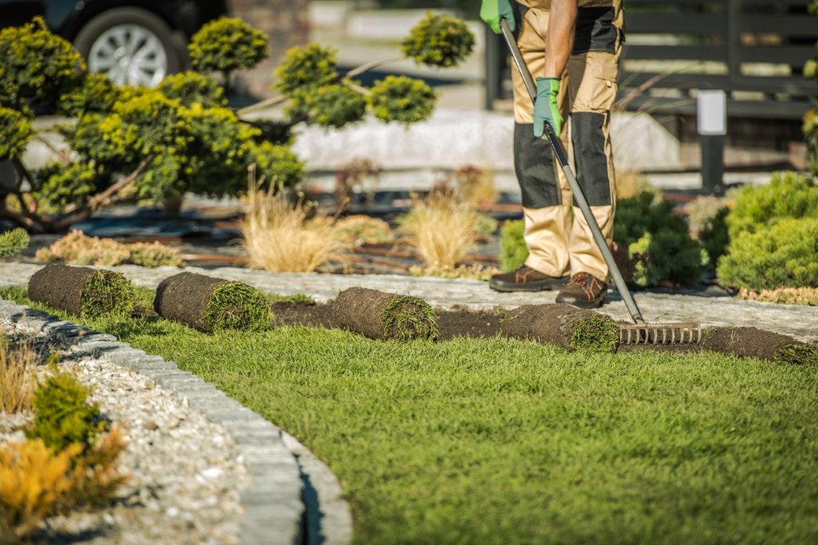landscaping edging
