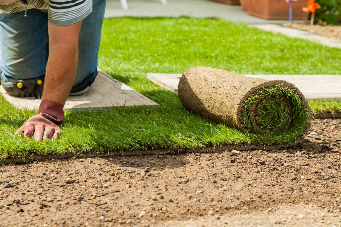 natural landscaping