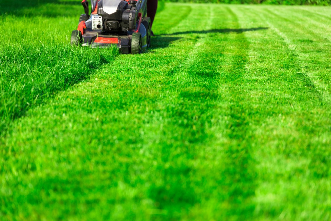 lawn maintenance near me
