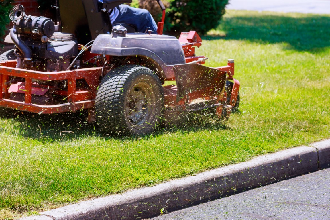 garden maintenance
