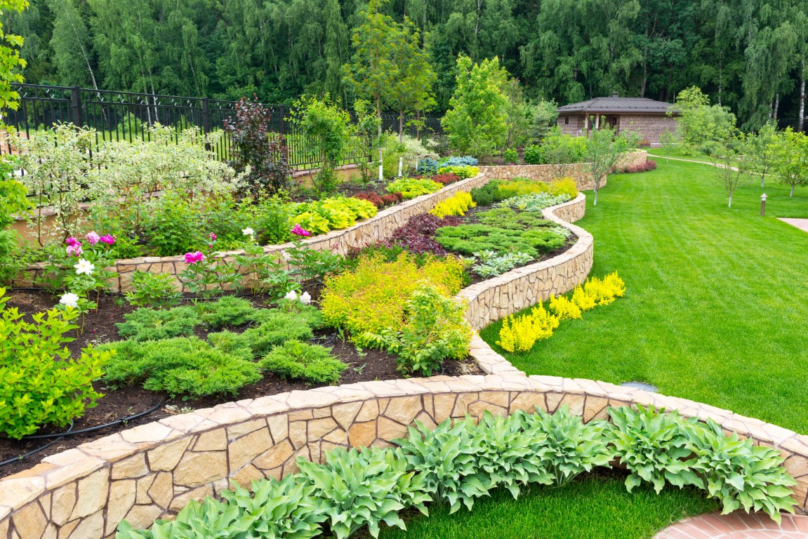 low maintenance front yard landscaping
